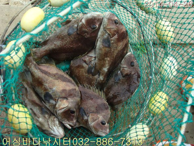 ����2 038.jpg