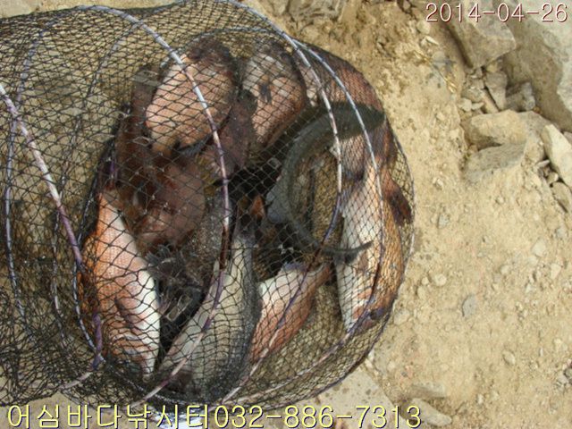 ����2 040.jpg