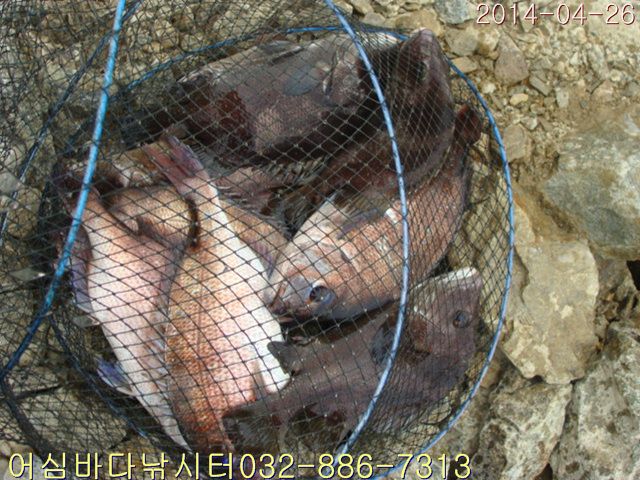 ����2 042.jpg