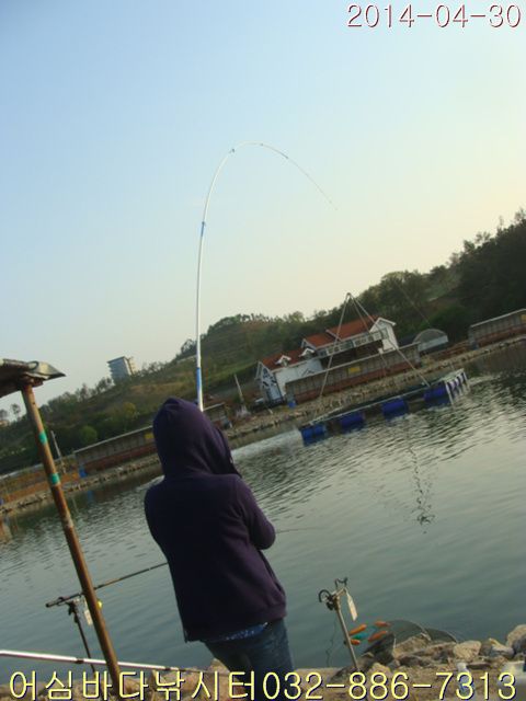 2 015.jpg