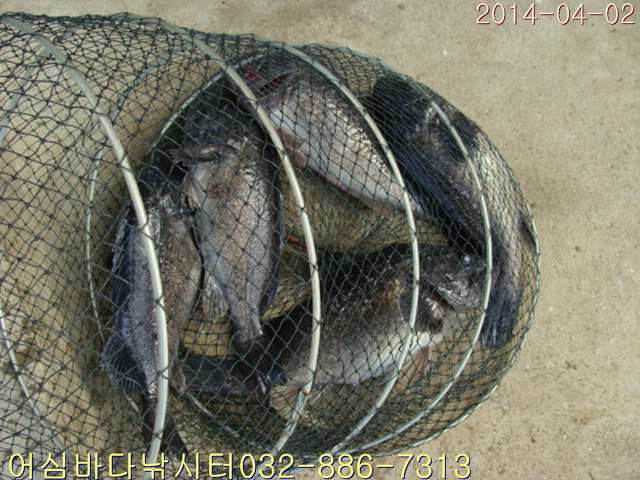 ����2 001.jpg