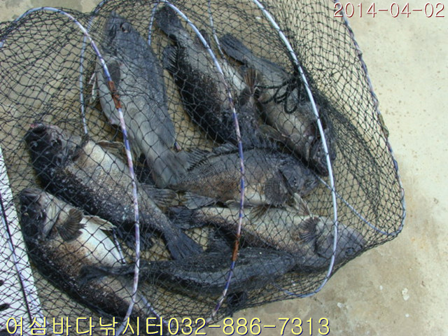 ����2 010.jpg