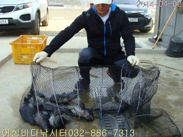 ����2 011.jpg