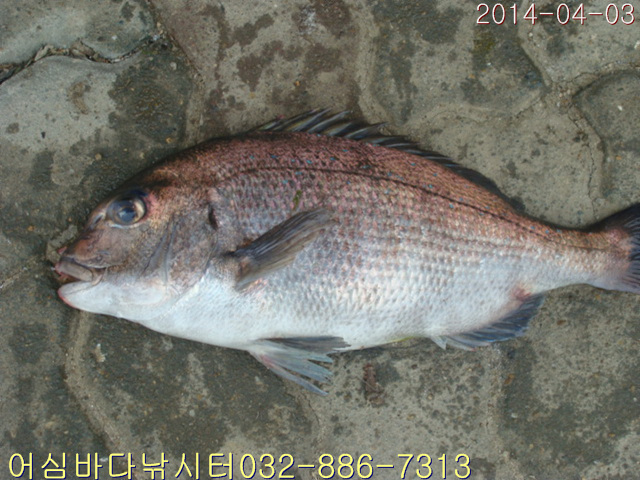 ����2 005.jpg