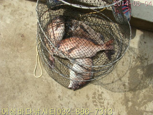 ����2 009.jpg