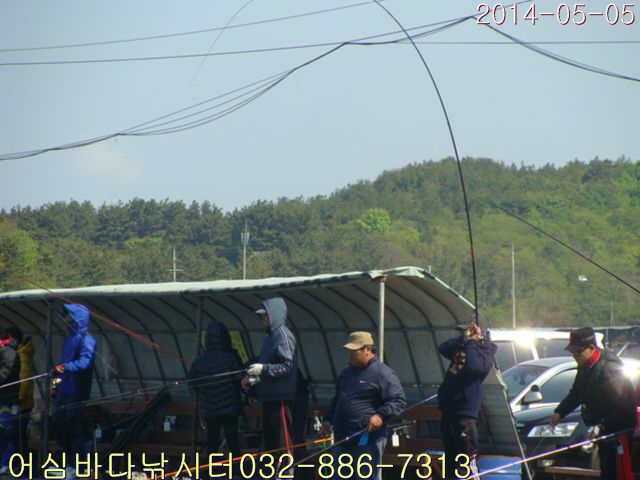 2 005.jpg