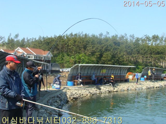 2 007.jpg