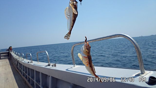 SAM_0759.jpg