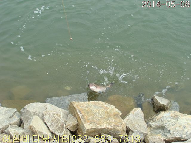 ����2 004.jpg