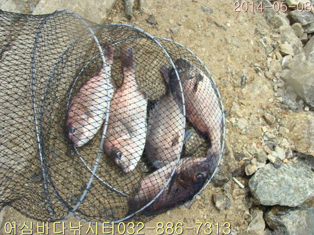 ����2 005.jpg