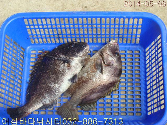 ����2 008.jpg