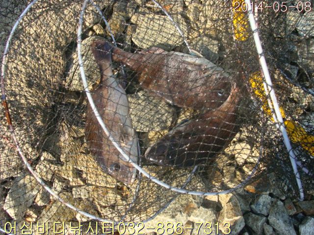 ����2 014.jpg