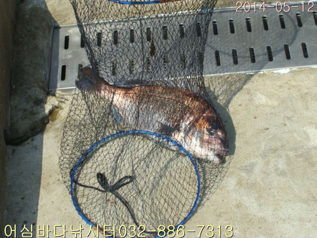 ����2 002.jpg