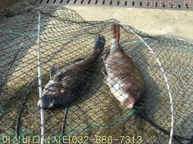 ����2 003.jpg