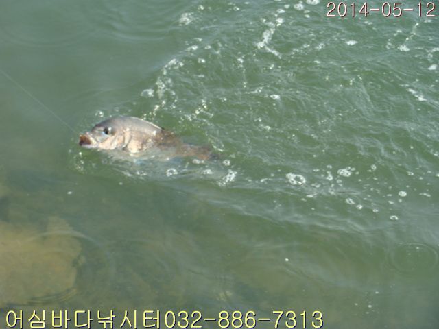 ����2 005.jpg