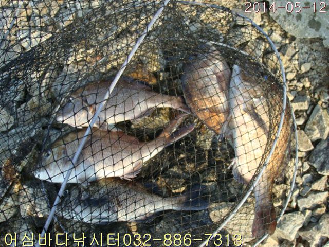 ����2 007.jpg