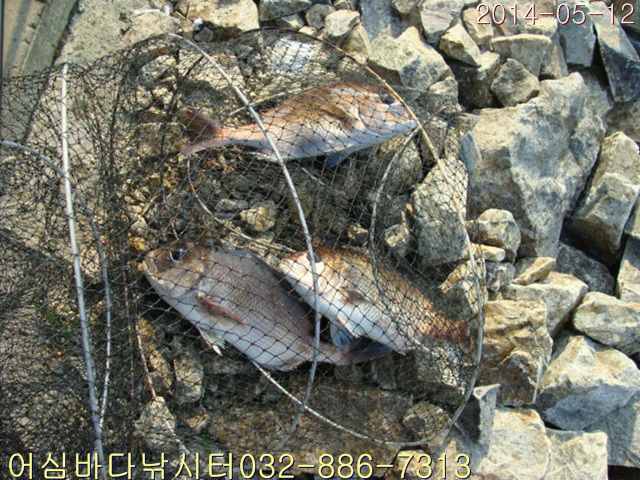 ����2 009.jpg