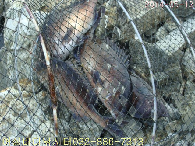 ����2 011.jpg