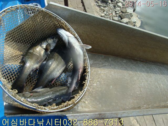 ����2 008.jpg