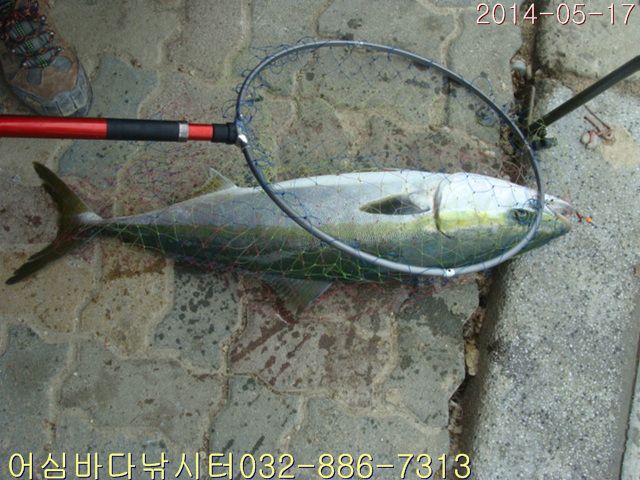 ����2 008.jpg
