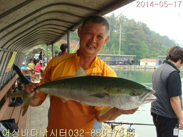 ����2 010.jpg