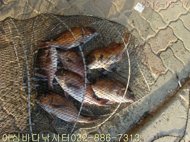 ����2 035.jpg