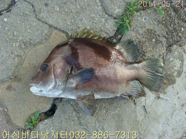 ����2 004.jpg