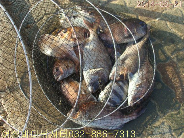 ����2 009.jpg