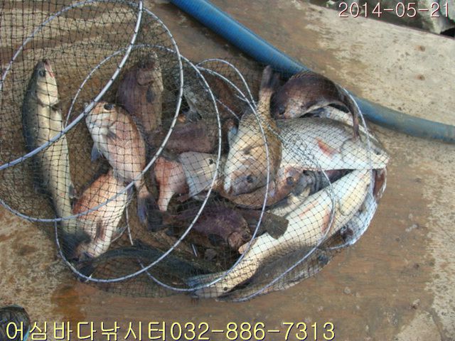 ����2 011.jpg