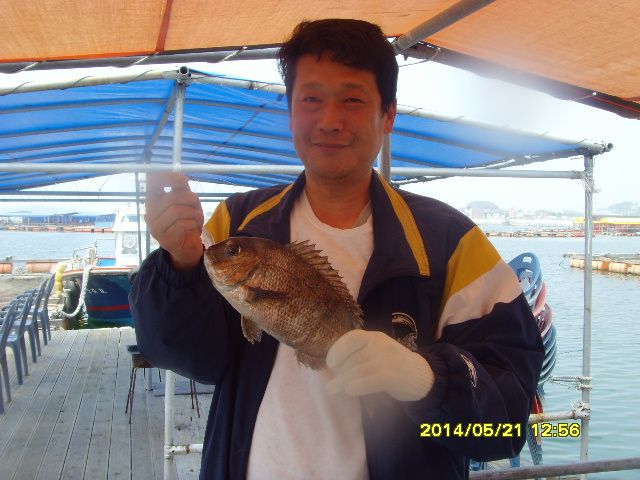 SNV38203.JPG