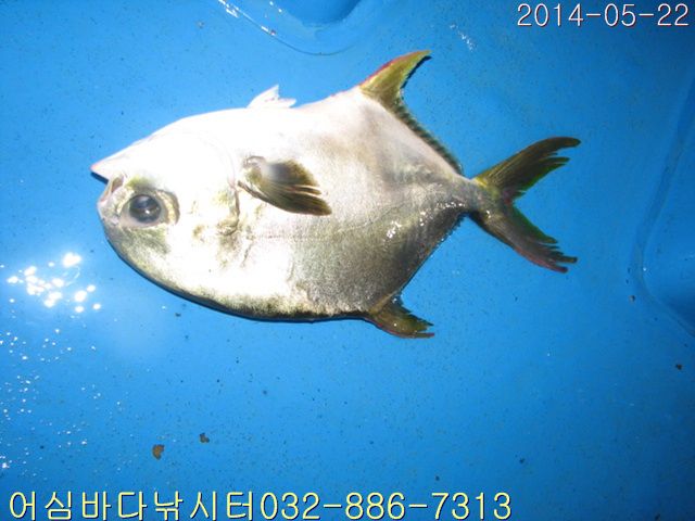 ����2 001.jpg