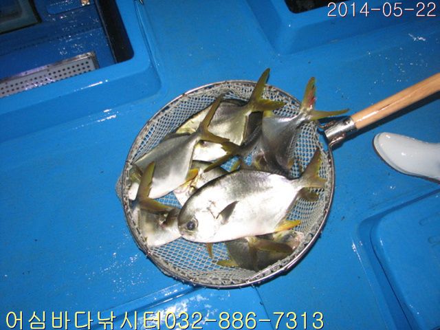 ����2 002.jpg