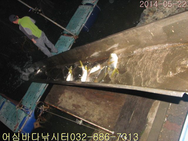 ����2 004.jpg