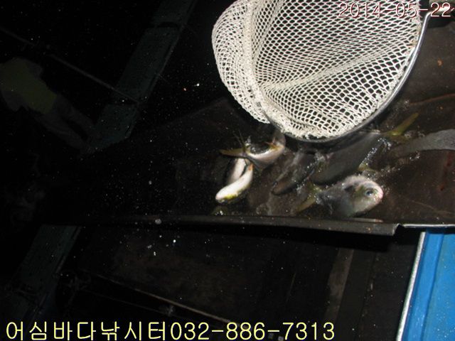 ����2 006.jpg