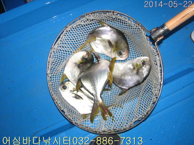 ����2 007.jpg