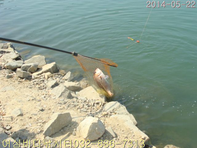 ����2 009.jpg