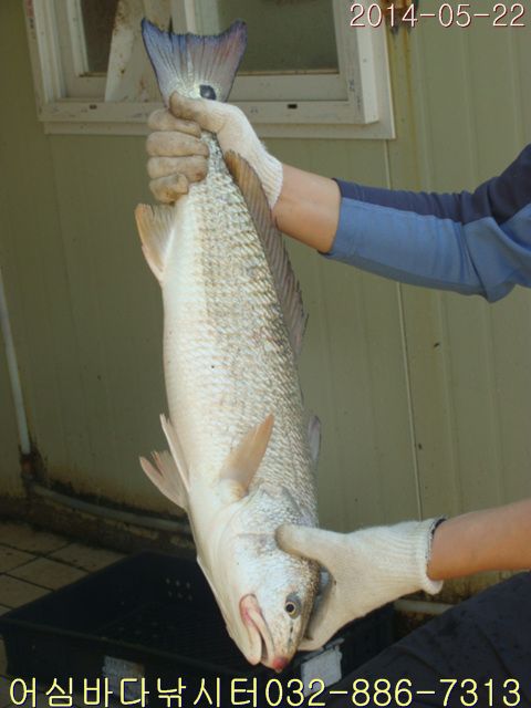 ����2 011.jpg