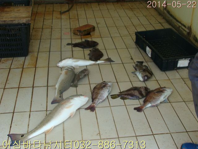 ����2 010.jpg