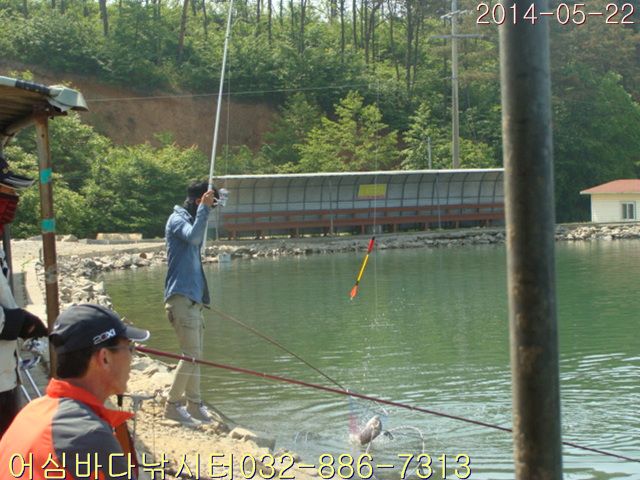 ����2 013.jpg