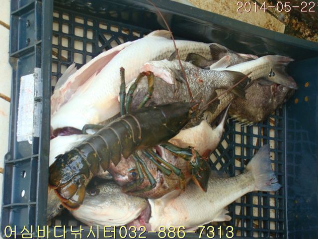 ����2 014.jpg