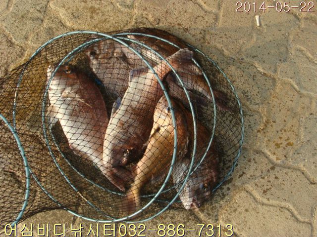 ����2 015.jpg