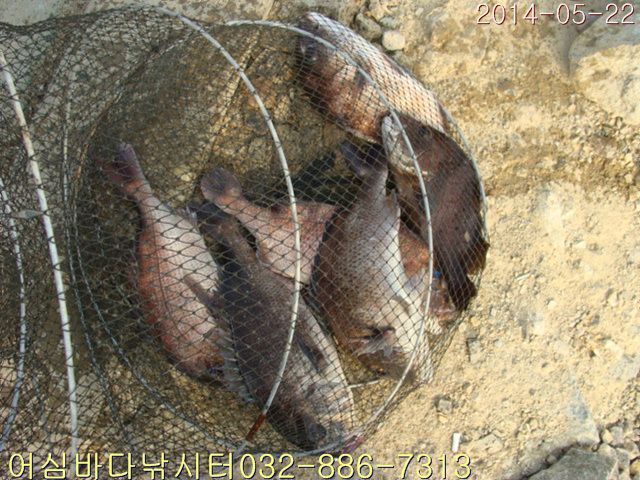 ����2 016.jpg