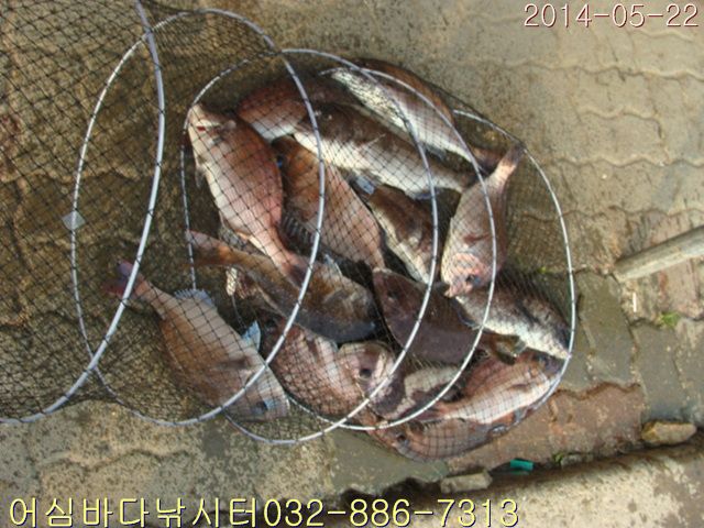 ����2 018.jpg