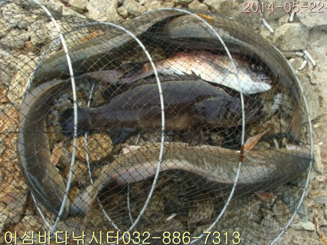 ����2 020.jpg