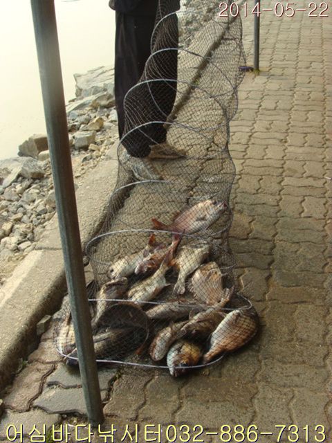 ����2 019.jpg