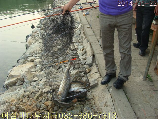 ����2 022.jpg