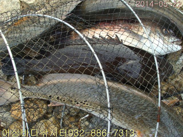 ����2 021.jpg