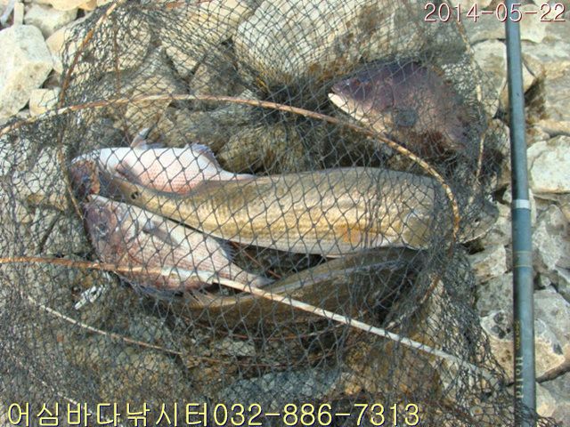 ����2 023.jpg