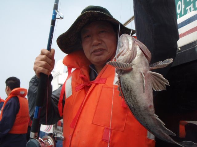 P5240031.JPG
