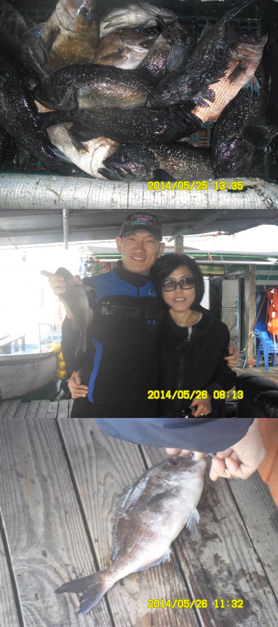 SAM_2052-vert.jpg